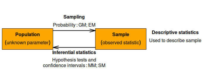 Chapter 2 The statistical investigation process | The data files ...