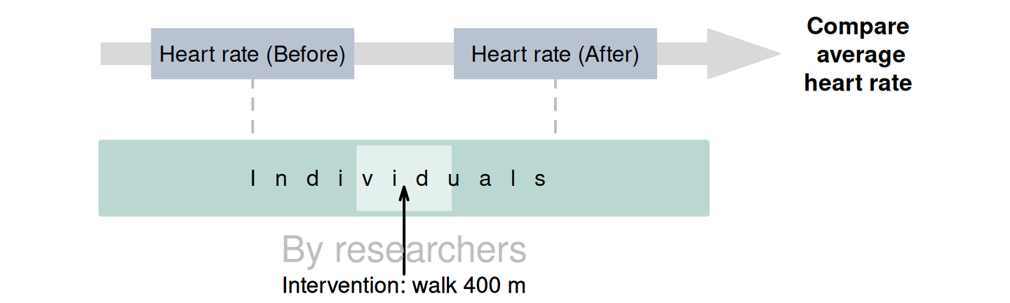 Experimental studies with a repeated-measures RQ.\spacex The dashed lines indicate steps not under the control of the researchers.