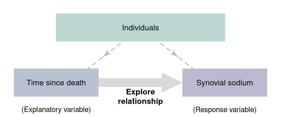 Observational studies with a correlational RQ.\spacex The dashed lines indicate steps not under the control of the researchers.