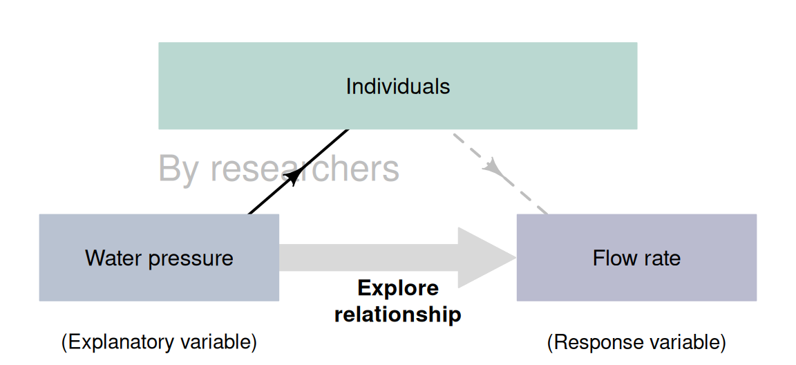 Experimental studies with a correlational RQ.\spacex The dashed lines indicate steps not under the control of the researchers.