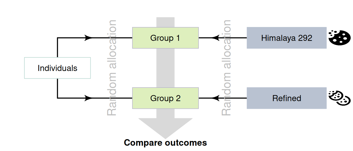Random allocation can occur in two places for the Himalaya study.