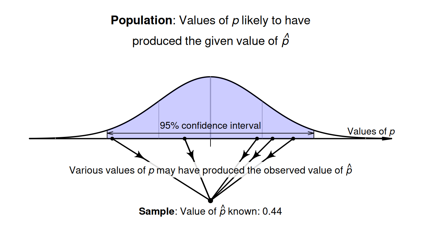 The sampling distribution for\ $\hat{p}$: many values of $p$ may have produced the observed value of $\hat{p}$.