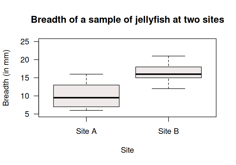 A boxplot of the breadth of jellyfish at two sites.